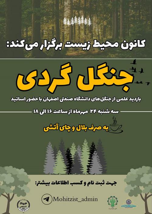 جنگل گردی