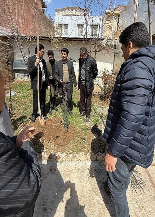 کاشت نهال در محل جهاددانشگاهی کهگیلویه‌وبویراحمد 